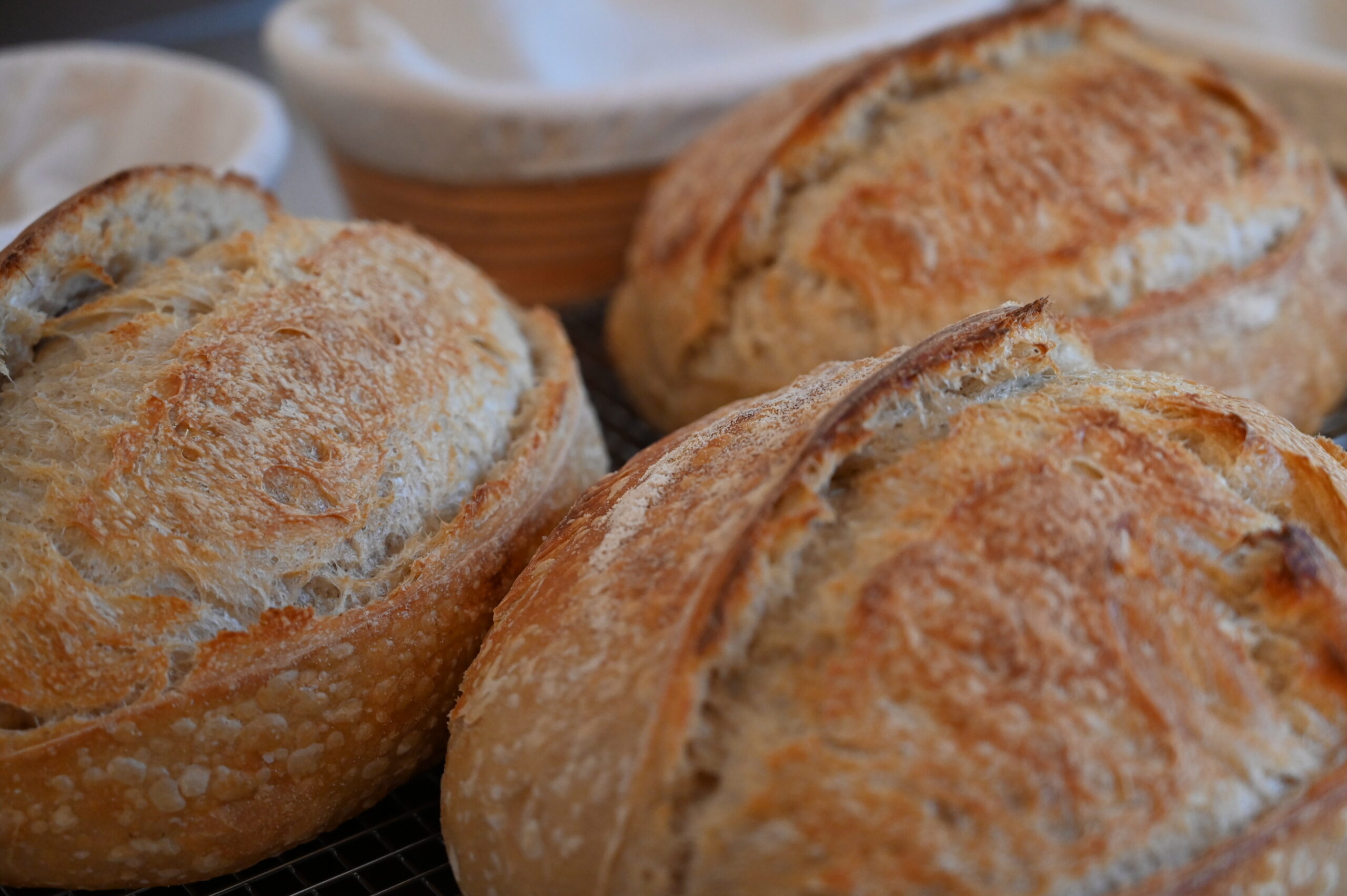 Classic Sourdough - Image 3