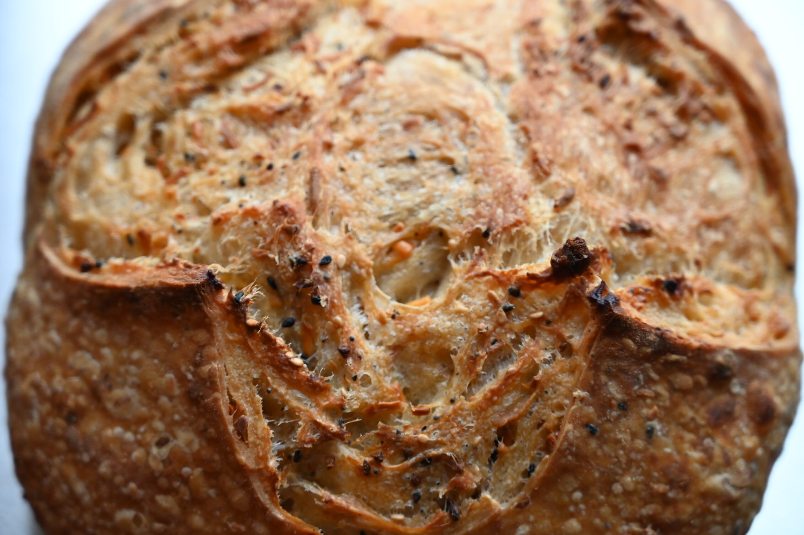 Cheddar Everything Sourdough - Image 3