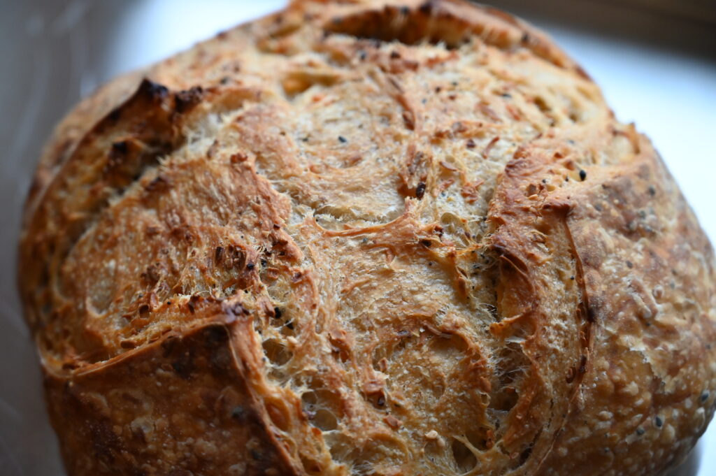 Cheddar Everything Sourdough