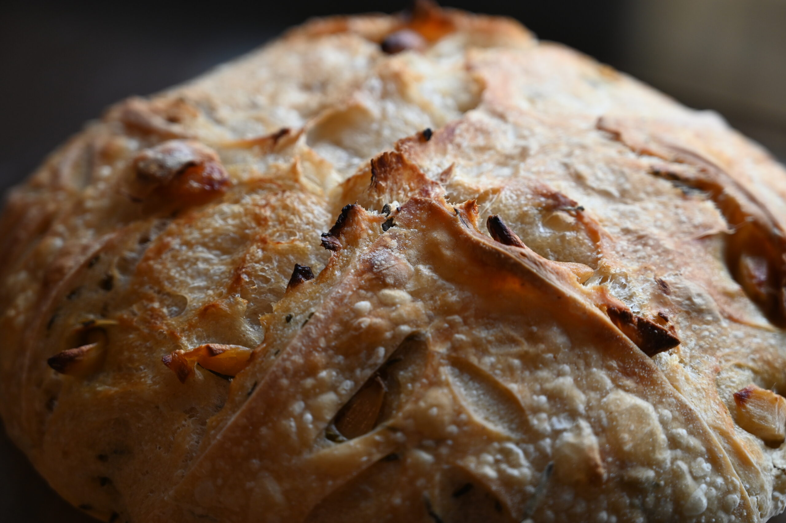 Garlic Rosemary Sourdough