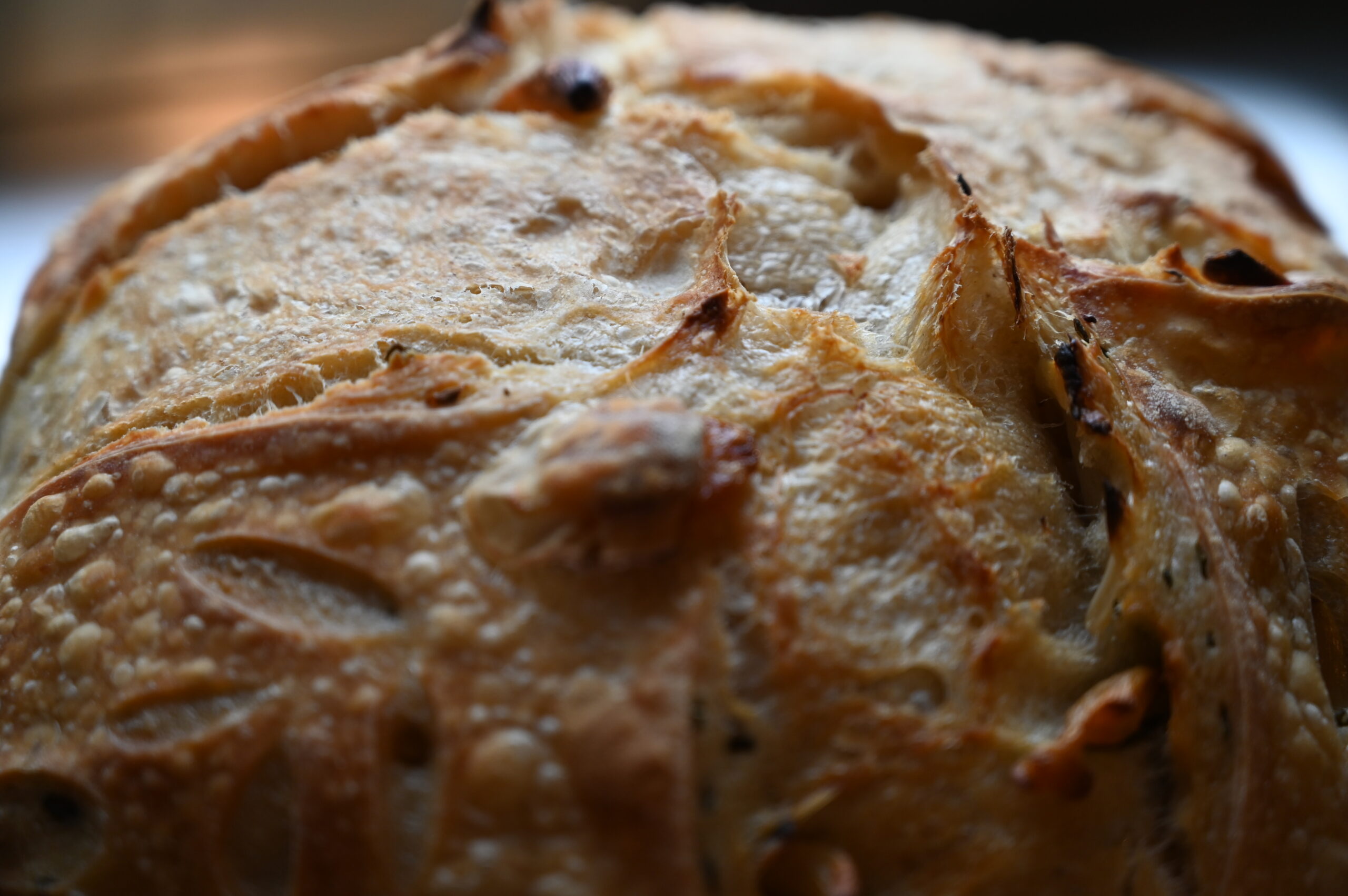 Garlic Rosemary Sourdough - Image 3