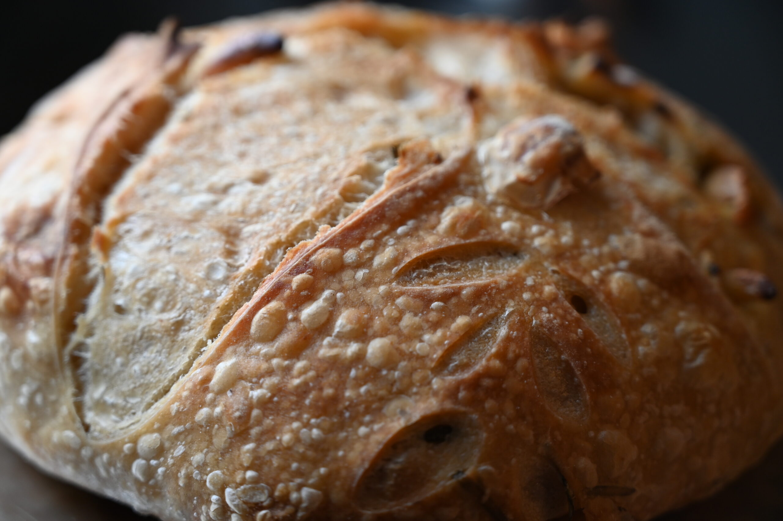 Garlic Rosemary Sourdough - Image 2
