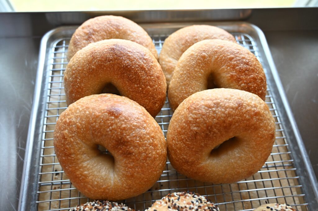 Pack of 5 Bagels- Plain