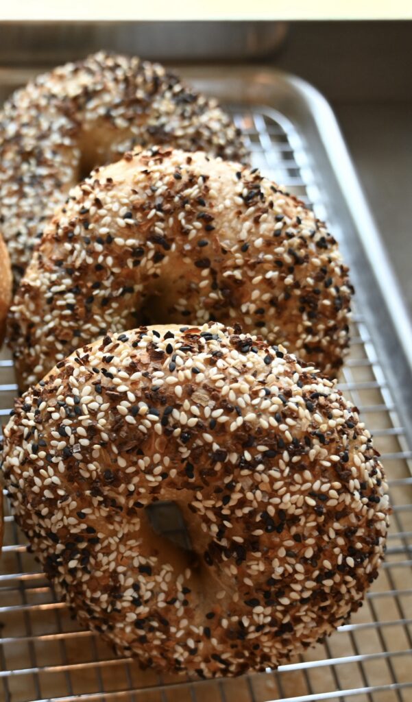 Pack of 5 bagels- Everything seasoning